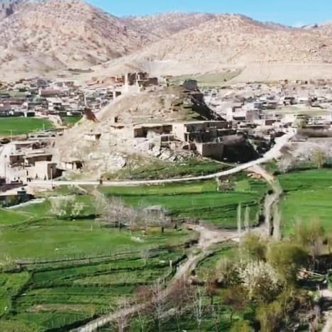 بزودی از دیشموک نویز بیشتر خواهید شنید